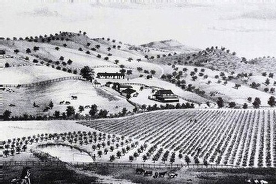 Black and white drawing of Rancho Guejito from 1882