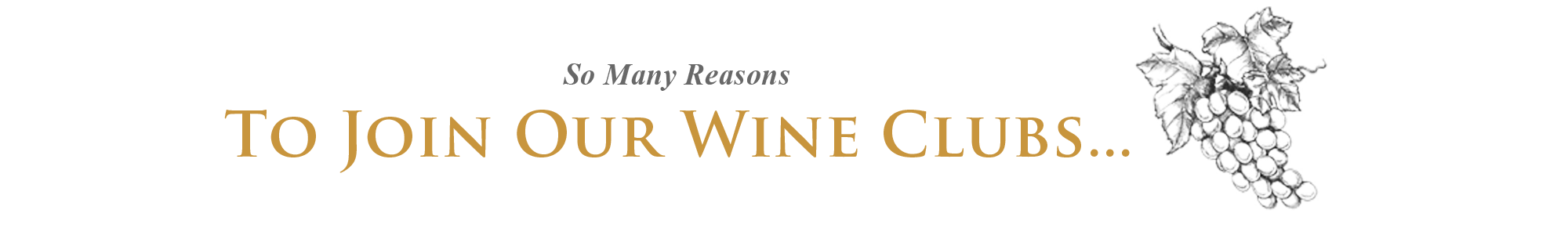 So Many Reasons To Join Our Wine Clubs...
