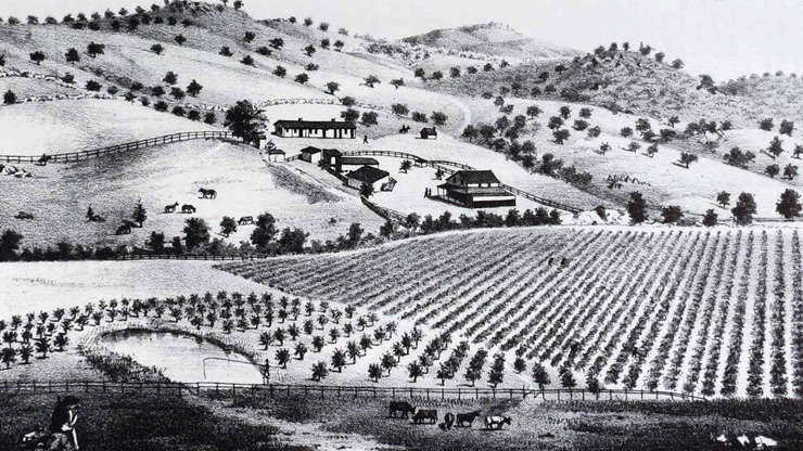 Black and white drawing of Rancho Guejito from the 1800's